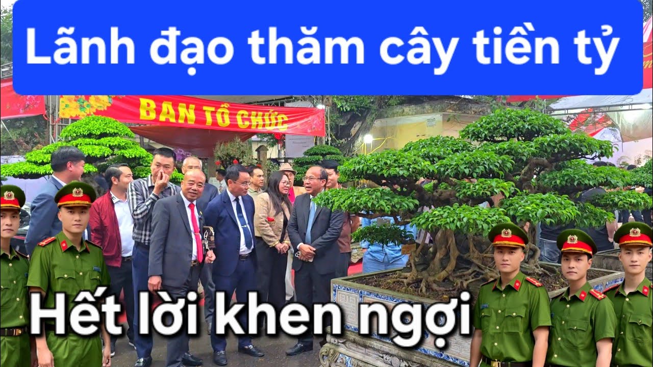 Đoàn lãnh đạo đi thăm cây và hết lời khen ngợi tại triển lãm Triều Khúc 