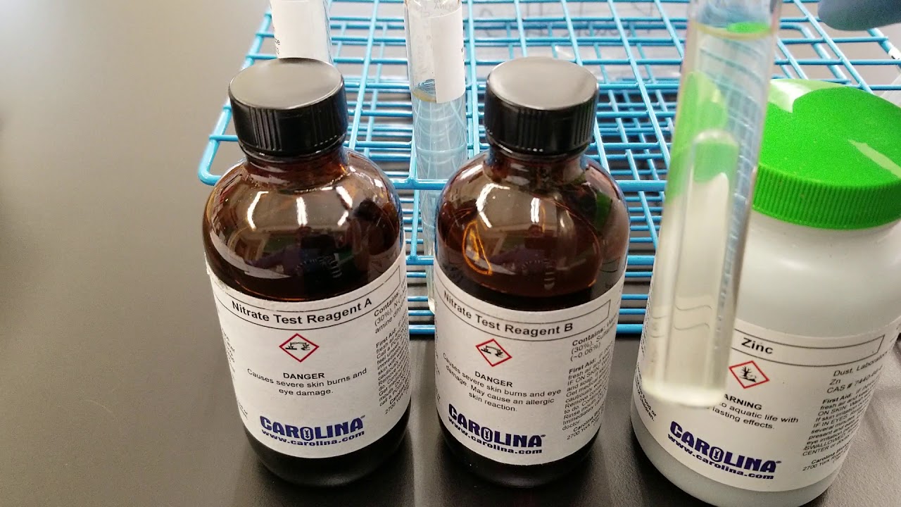 Microbiology: Nitrate Reduction Test