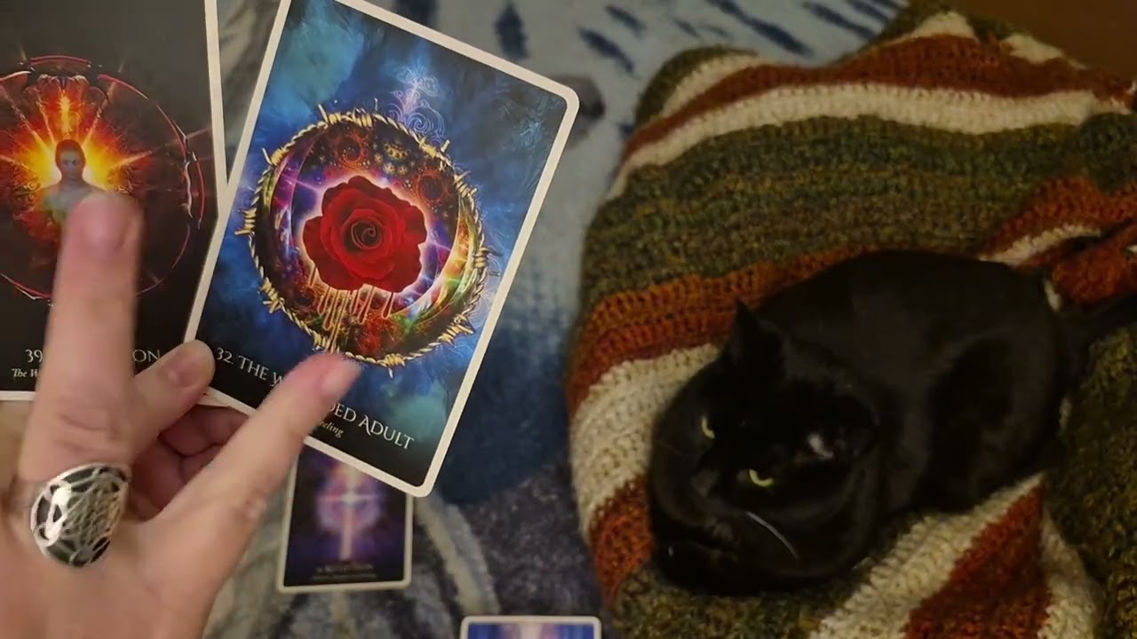 The most beautiful reading I've ever done❤️❤️❤️