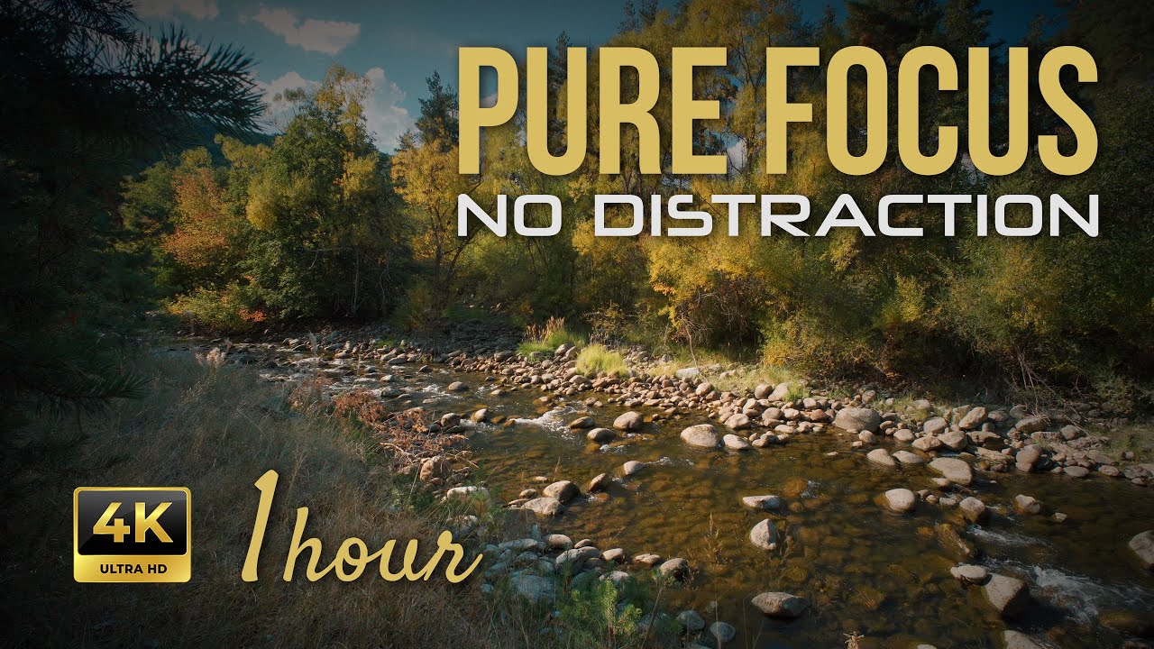 Pure Focus 1 Hour River Nature Sounds | River Ambience