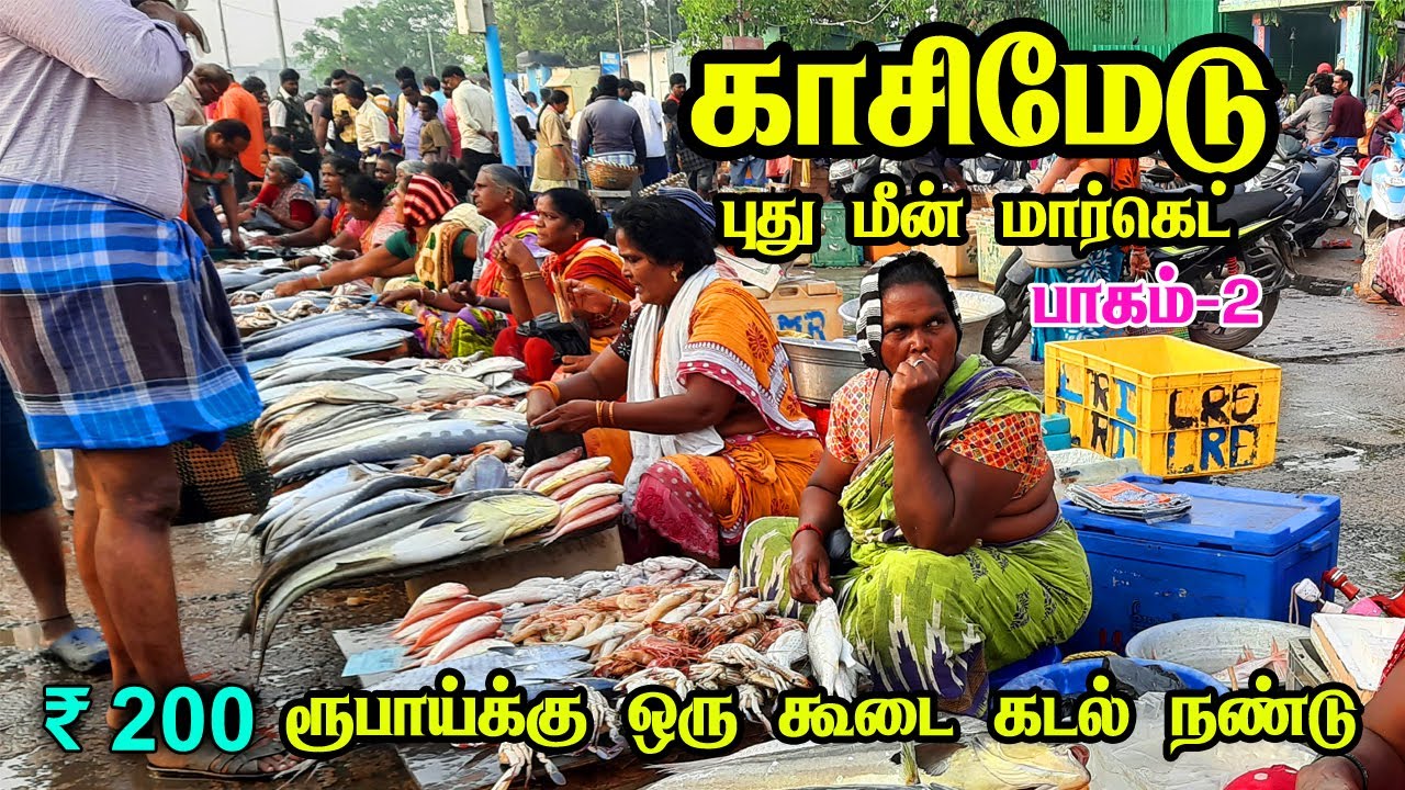 💥🍤காசிமேடு மீன் மார்க்கெட் பாகம் 2 🐠😍😍| Kasimedu Fish Market | Famous fish market in chennai