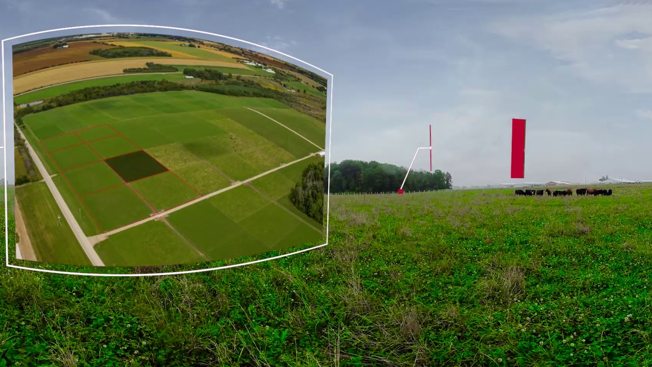 Pasture - Virtual 360º Tour of the Ontario Beef Research Centre