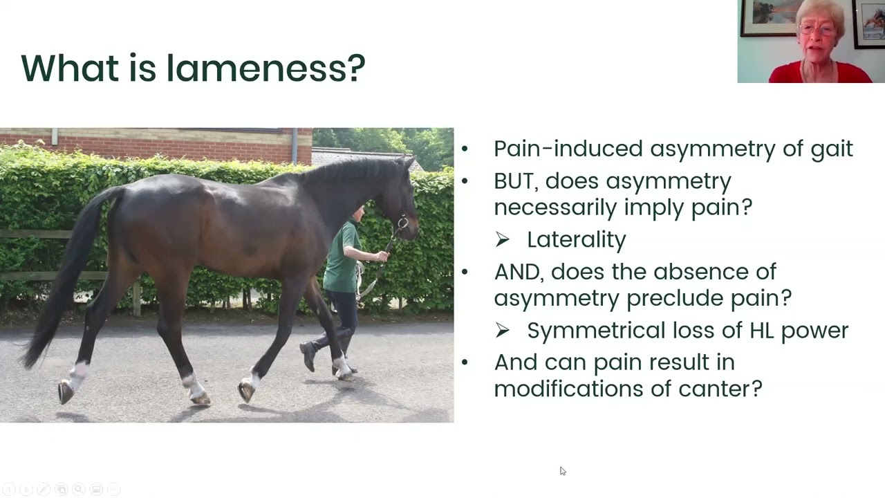 Sue Dyson: Recognising lameness in horses