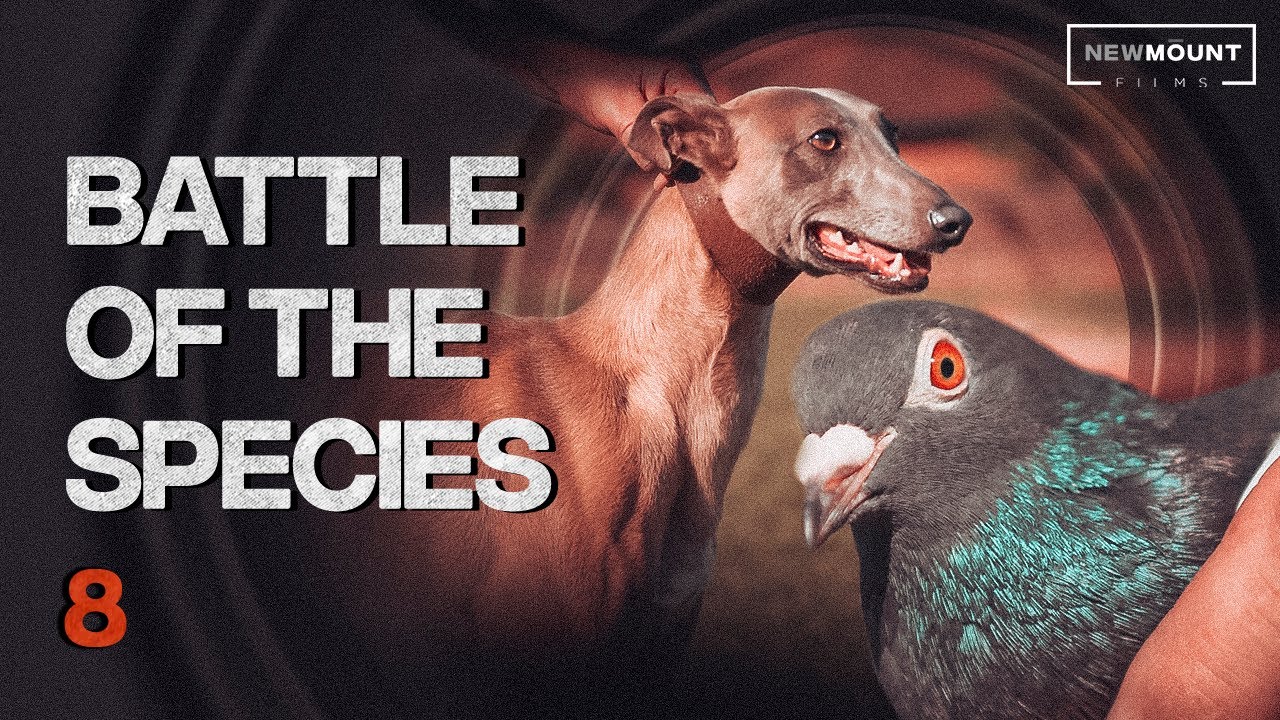 Battle of the Species - Fire Side Films (ep-8)
