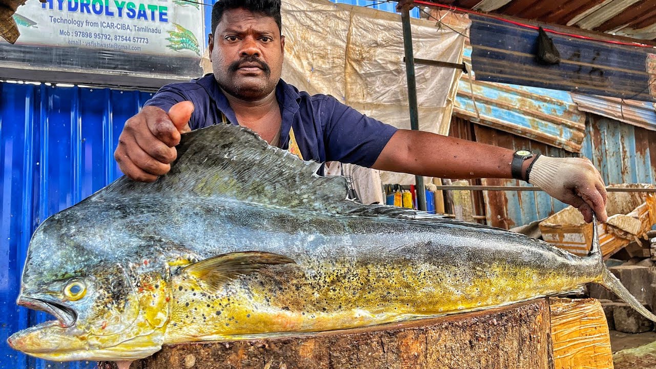 KASIMEDU🔥 SPEED SELVAM | HUGE MAHI MAHI FISH CUTTING VIDEO | 4K VIDEO | CS FISH CUTTING
