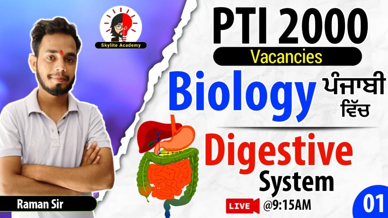 PTI 2000 Posts | Digestive System | Skylite Academy