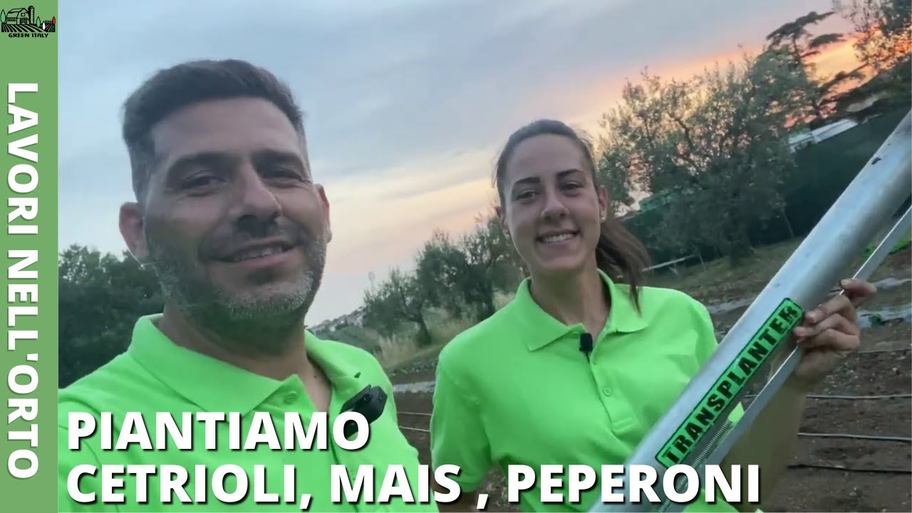 LAVORI NELL'ORTO : Piantiamo Cetrioli, Mais, Peperoni