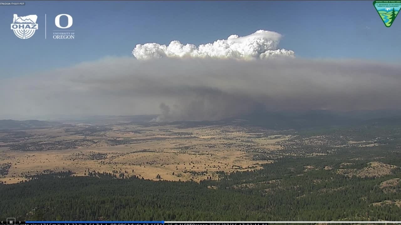 Giant smoke plume from Brewer Fire in Jefferson County