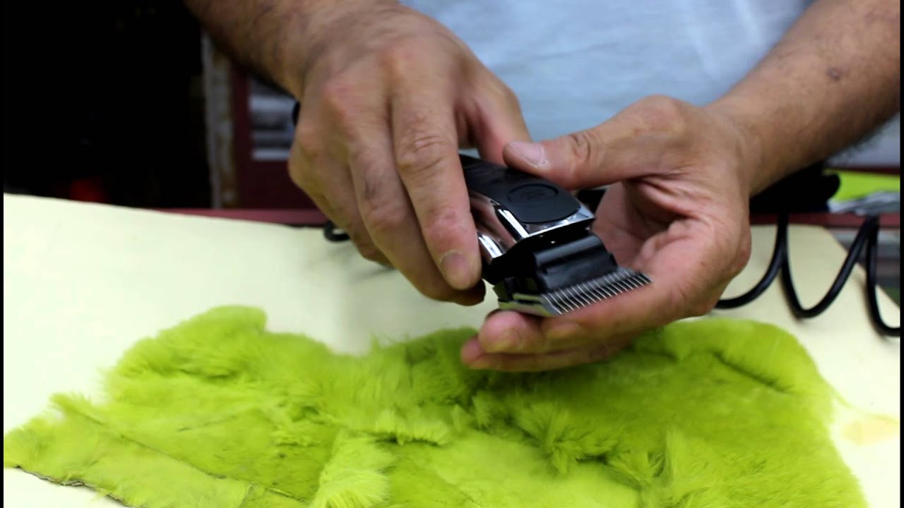 Andis RACD Animal Clipper