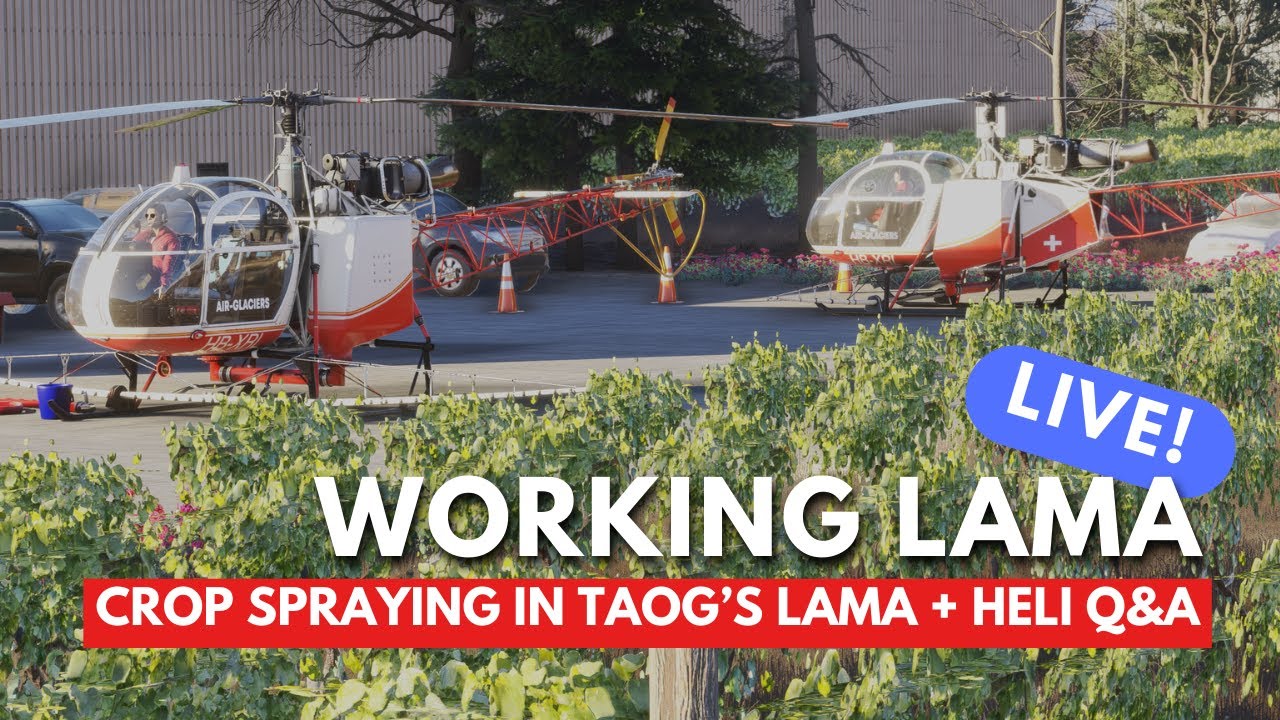 Lama Adventure + Helicopter Q&A | MSFS 2024