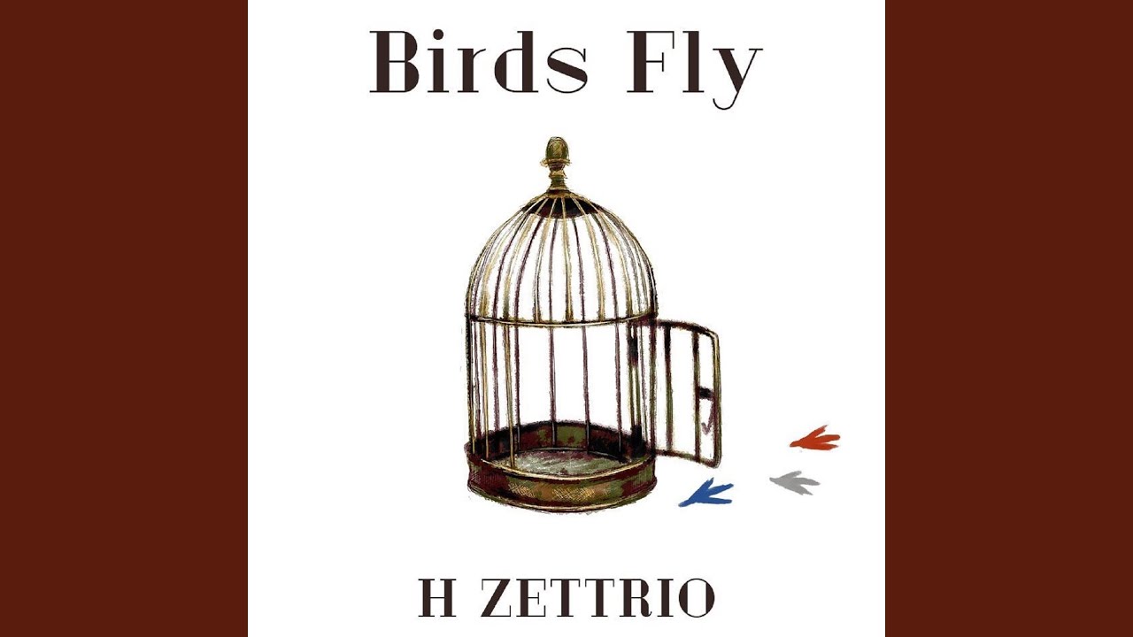 Birds Fly