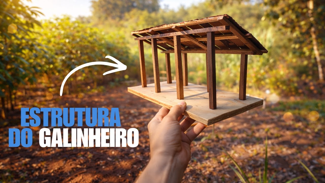 chegou o material do galinheiro!!/ EP 03