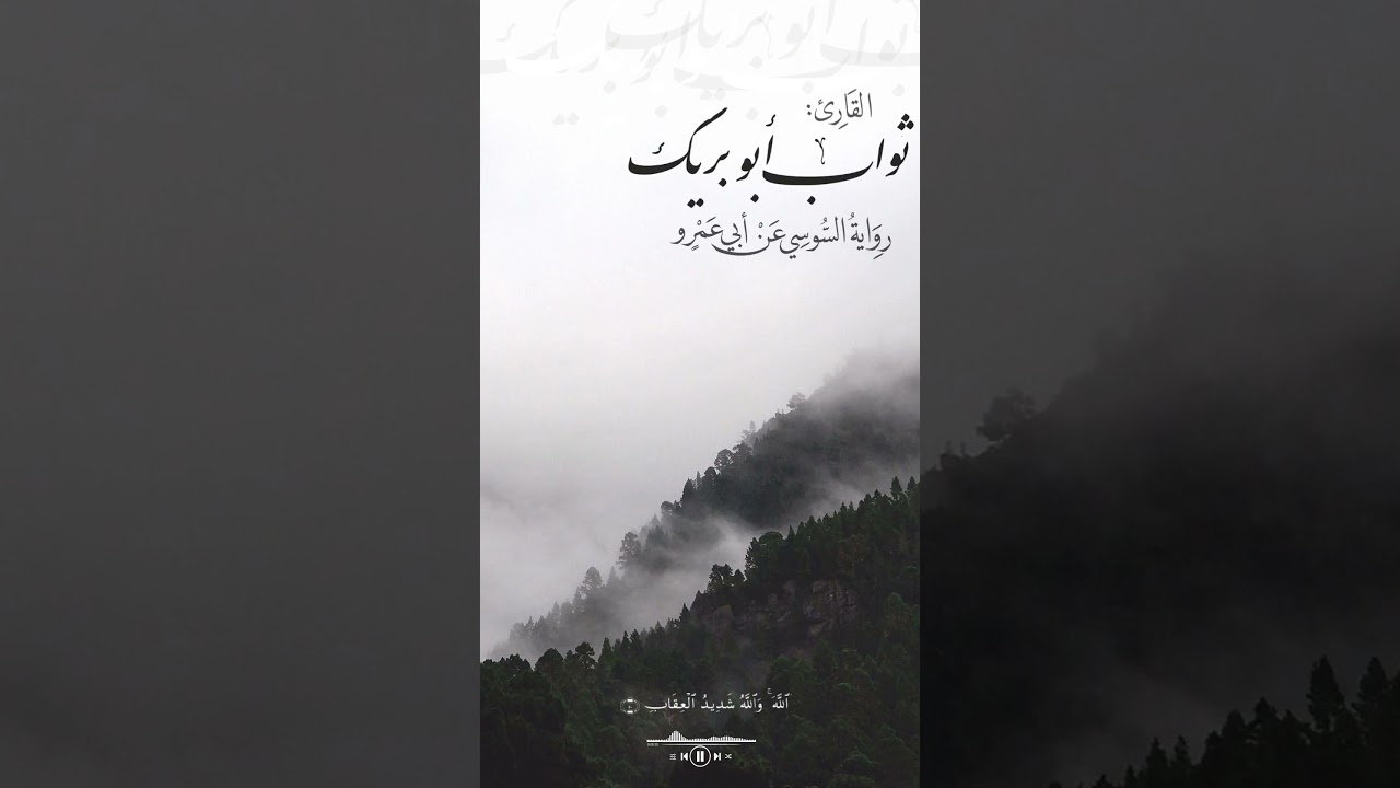 تلاوة من سورة الأنفال || برواية السوسي عن أبي عمرو || القارئ ثواب أبو بريك