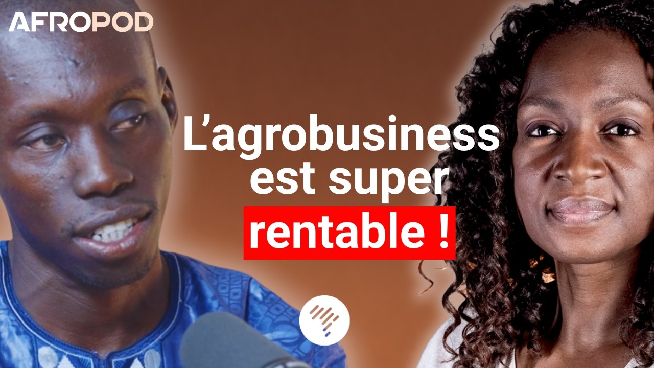 CEO Fraisen : de 500 FCFA à un Empire Agricole ! Souleymane Agne. #Agrobusiness #Afropod 11