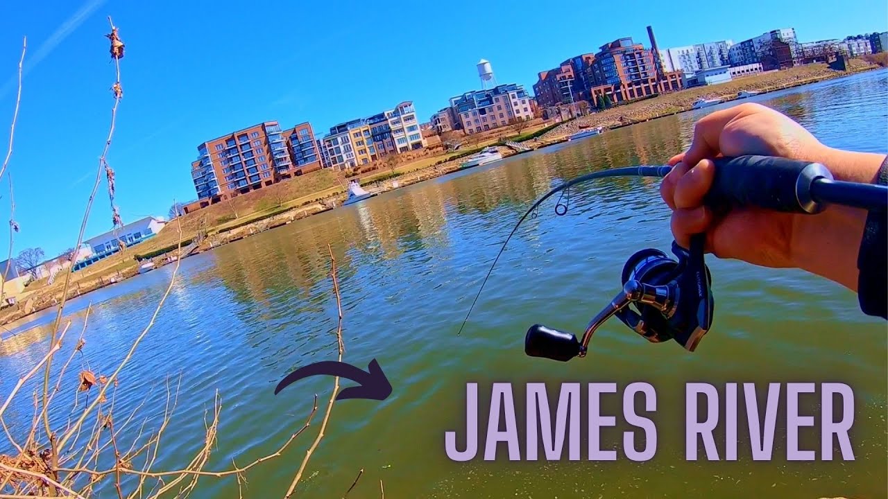 I'm Back... and so are They!!! (Kicking Off the SHAD Run!)