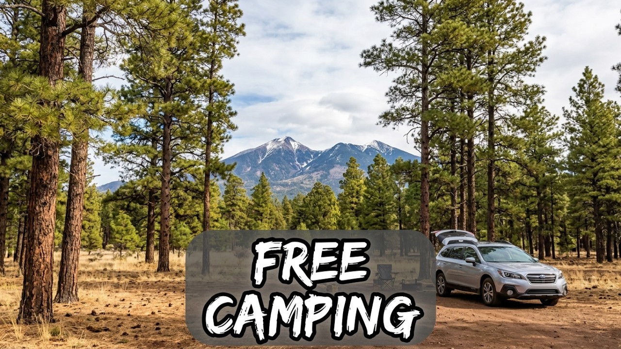 Relax and Let's Ride Through the Ponderosa Pines 