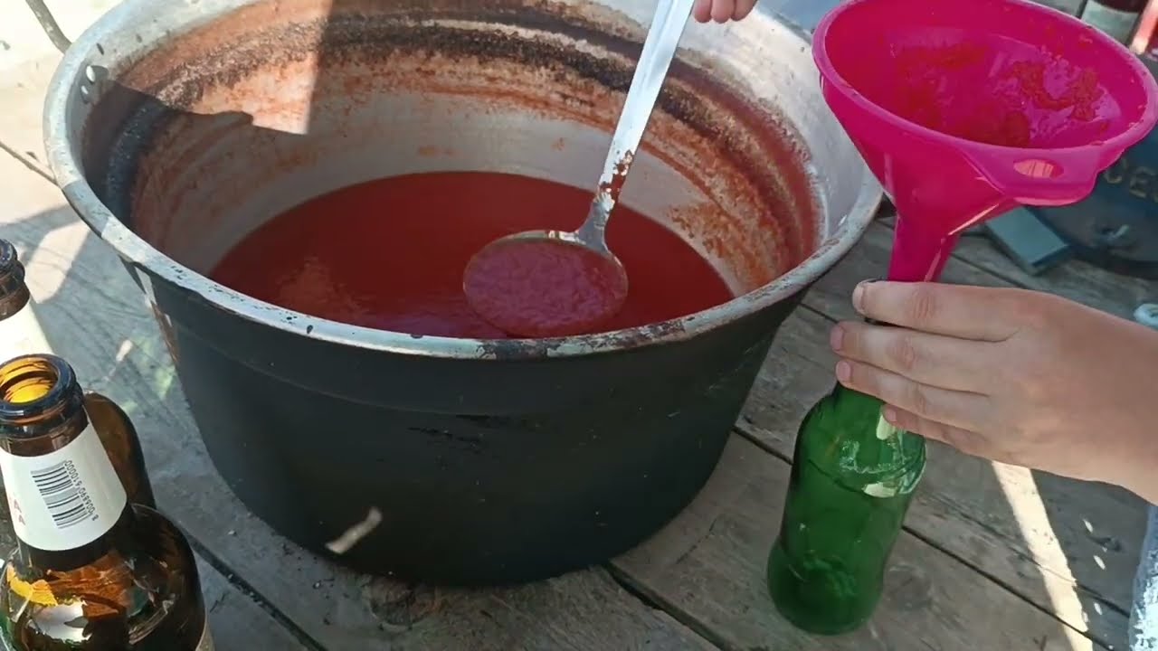 La tara in Sicilia - cum am facut bulionul si productia de ceapa record