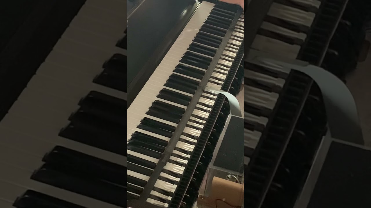 Clavinova Yamaha YDP-113 reparando falla en tecla (regreso lento)