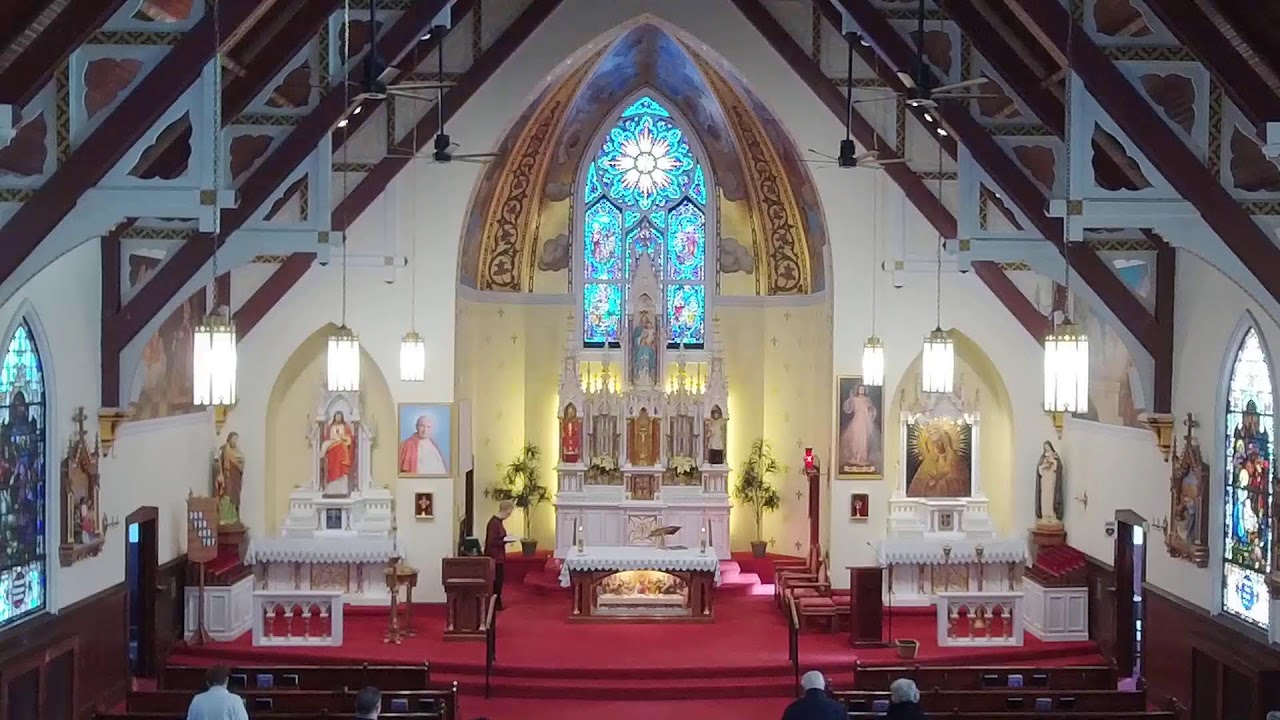 Our Lady of Ostrabrama: 8:00am Mass - 6th Sunday in Ordinary Time 2/15/2026