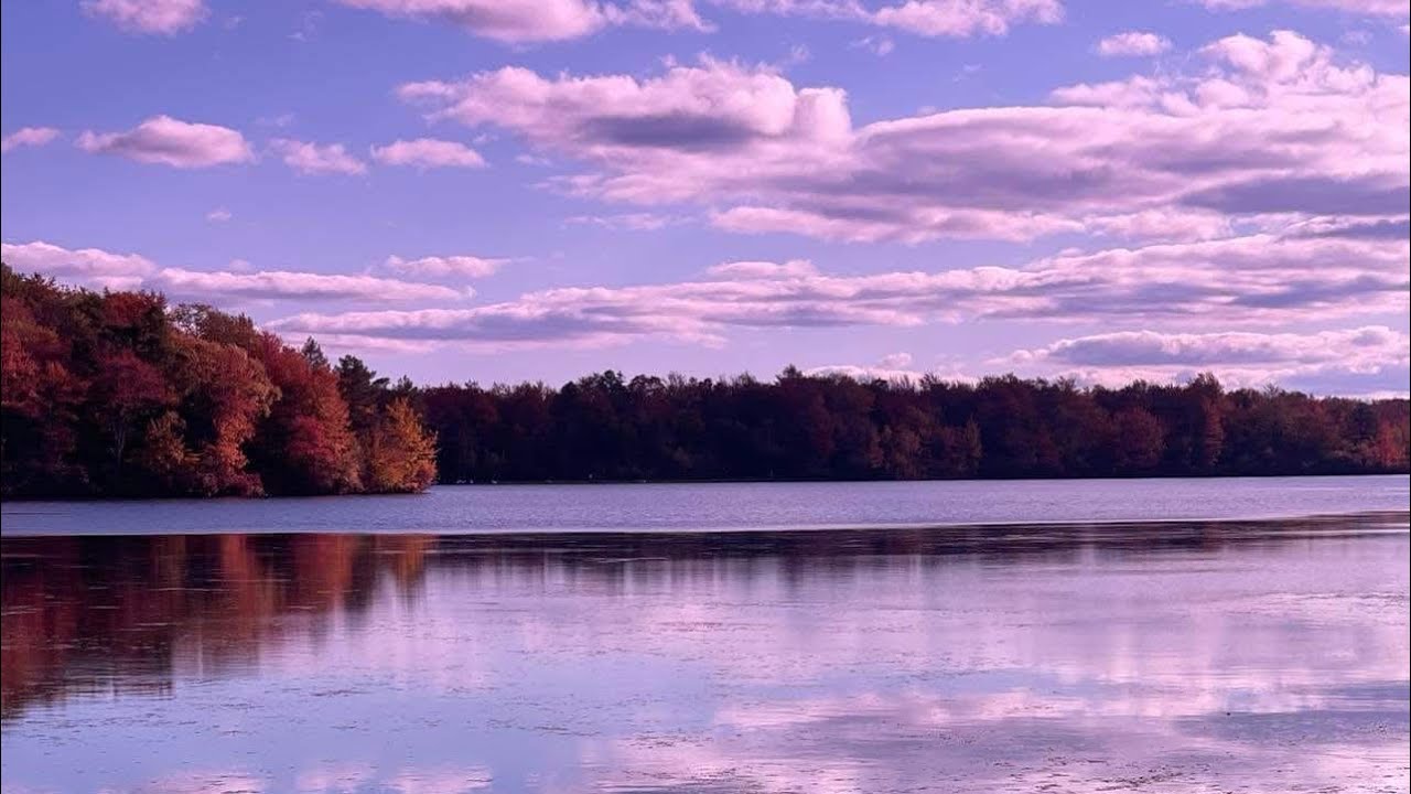 Rosie Darling - Witness (DidYou Remix)