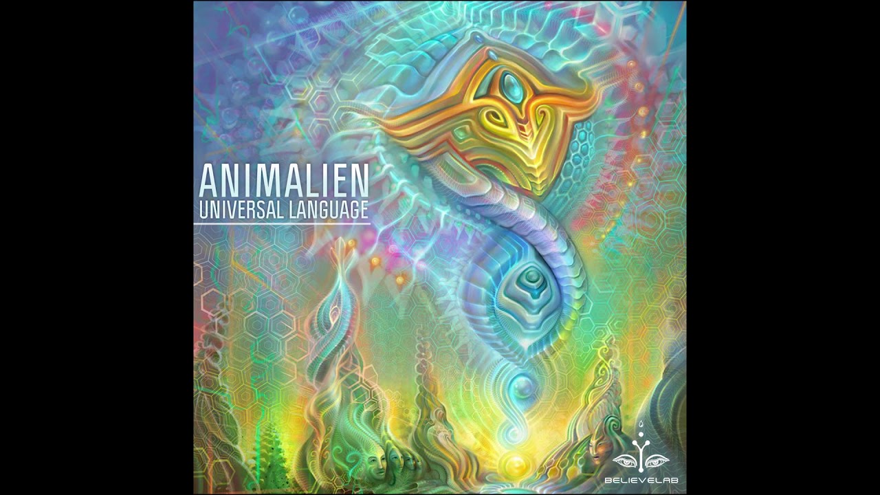 Animalien - Funk Phase