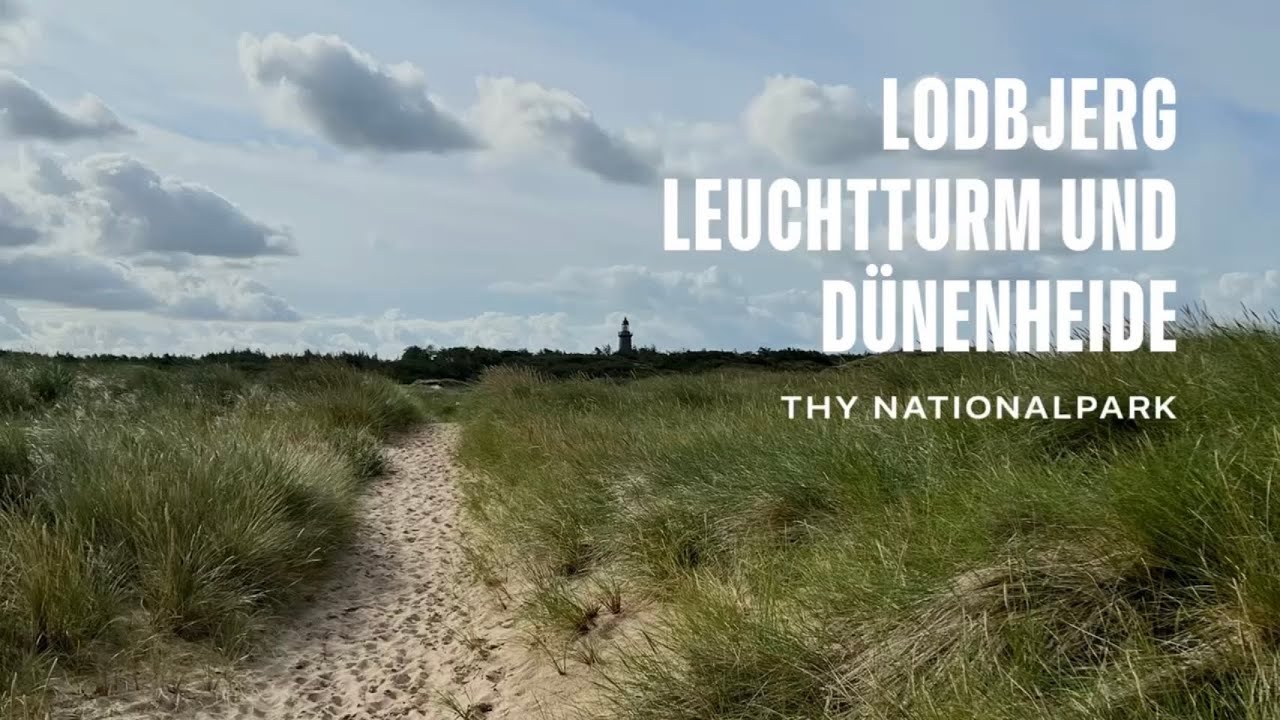 🇩🇰 Lodbjerg Leuchturm und Dünenheide im Nationalpark Thy