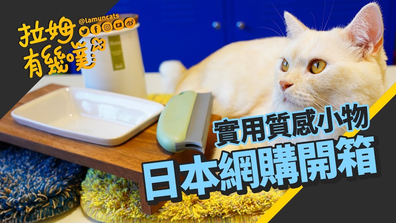 開箱落砂墊 除貓毛小物 新碗架騙貓咪多喝水｜BUYEE｜拉姆有幾噗 ☁