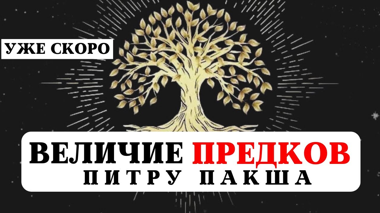 ВЕЛИЧИЕ И ПОЧИТАНИЕ ПРЕДКОВ, ПИТРУ ПАКША, КОРИДОР ЗАТМЕНИЙ, СИЛА РОДА, РАБОТА С РОДОМ, МАРАФОН, ВЕДЫ