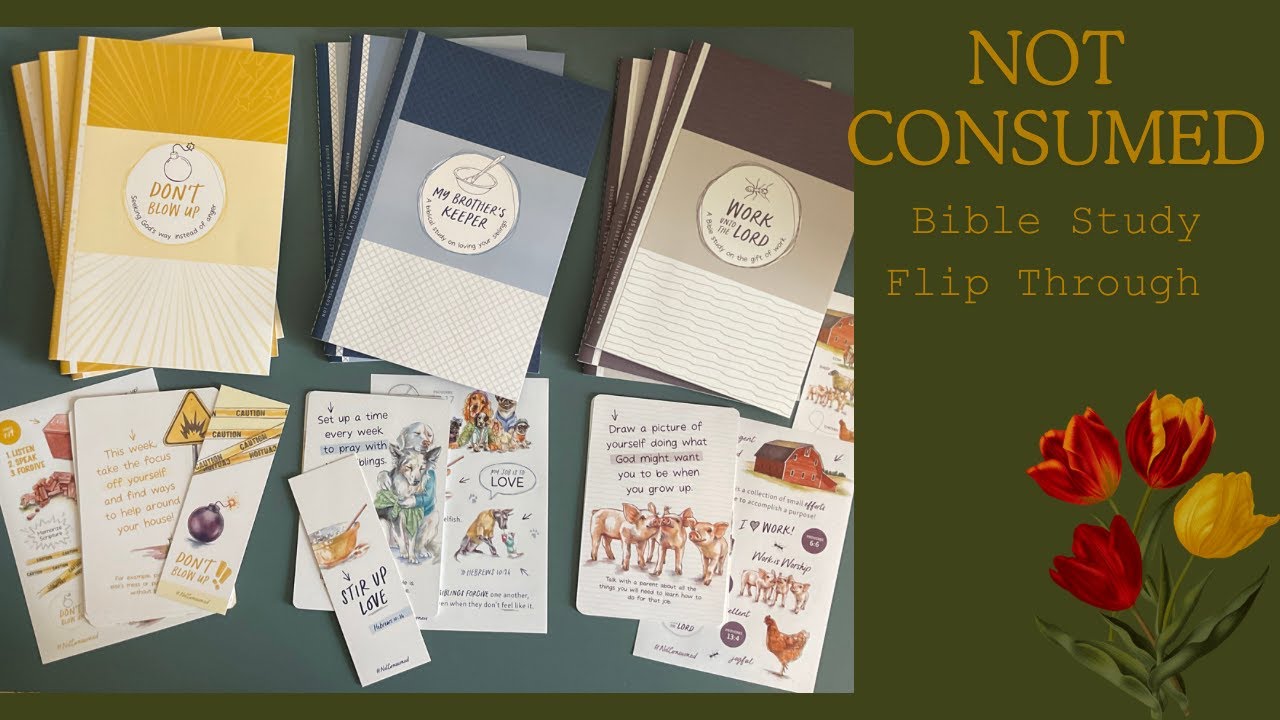 Not Consumed Bible Study Flip Through/Character Study for our Homeschool