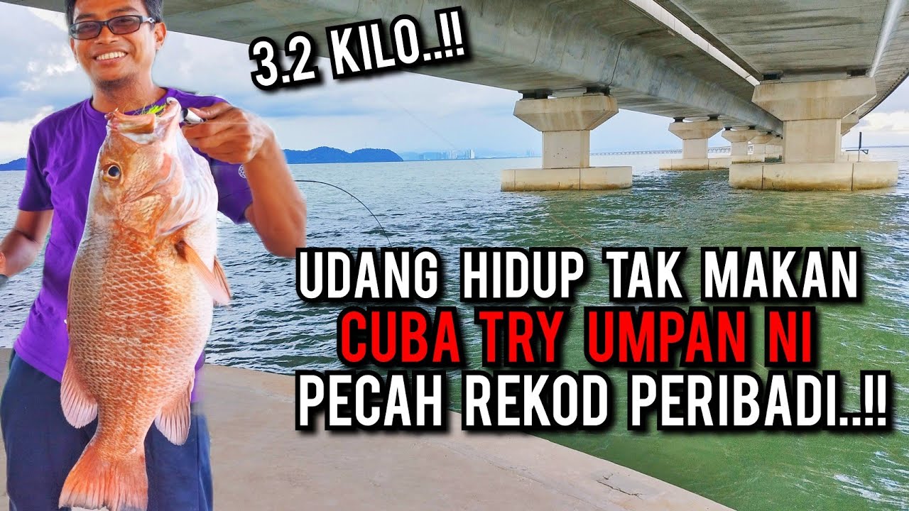 PECAH REKOD PERIBADI | TARIKAN  PENUNGGU LUBANG JAMBATAN KEDUA