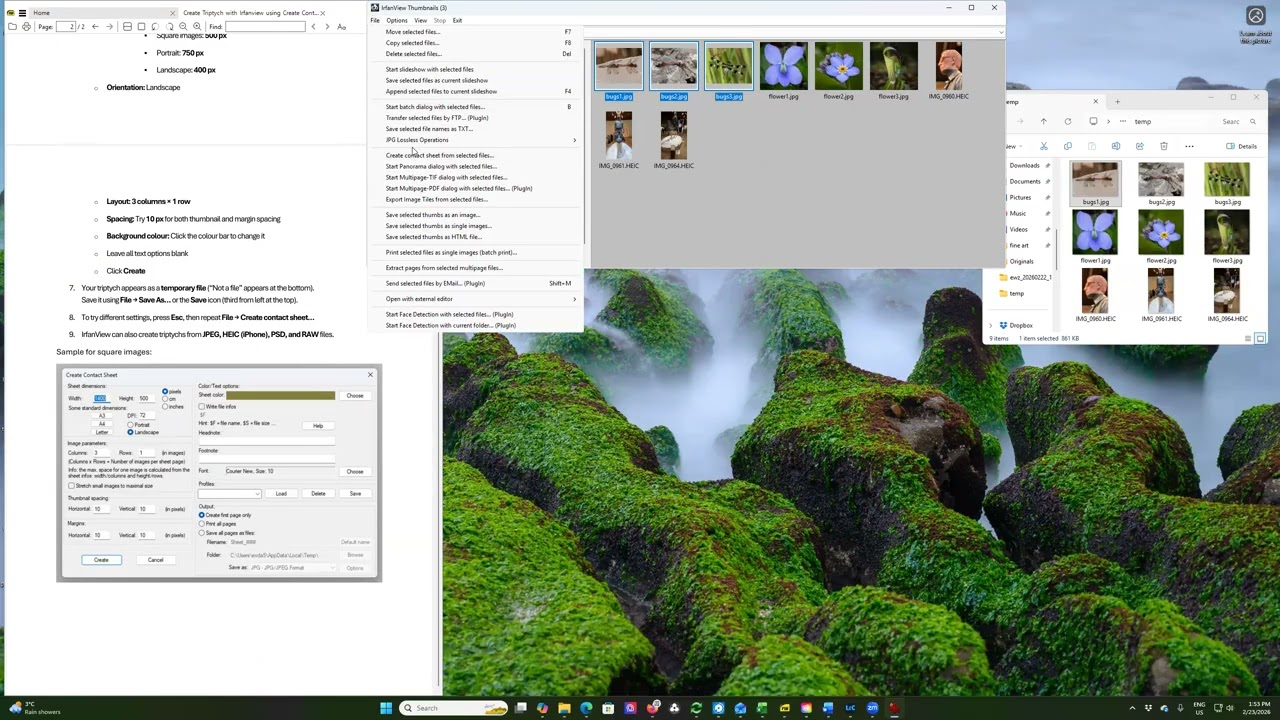 Create triptych using the Irfanview contact sheet option