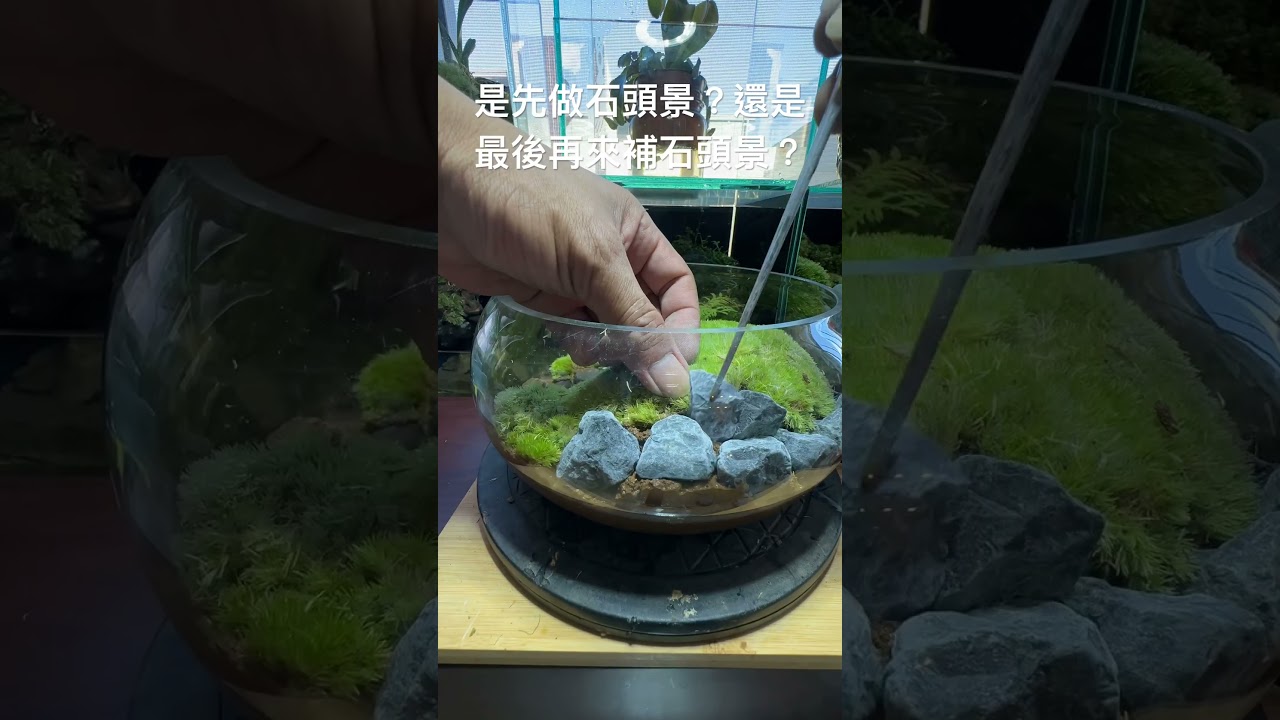 Moss苔蘚玻璃容器微景觀生態瓶，水流缸，雨淋缸，Moss ecological bottle, water and land tank ，苔ガラス容器造景微細景観