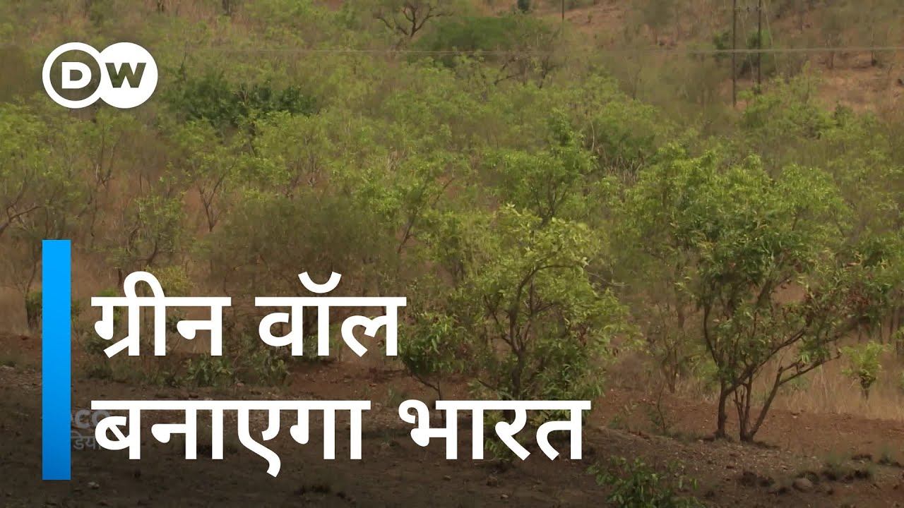 सैकड़ों किलोमीटर लंबी पेड़ों की दीवार बन पाएगी... [Why India wants to build a Great Green Wall]
