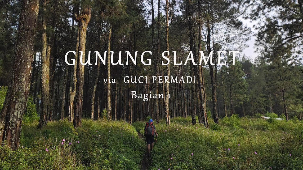 Solo Hiking Gunung Slamet via Guci Permadi #1 Melewati Batas