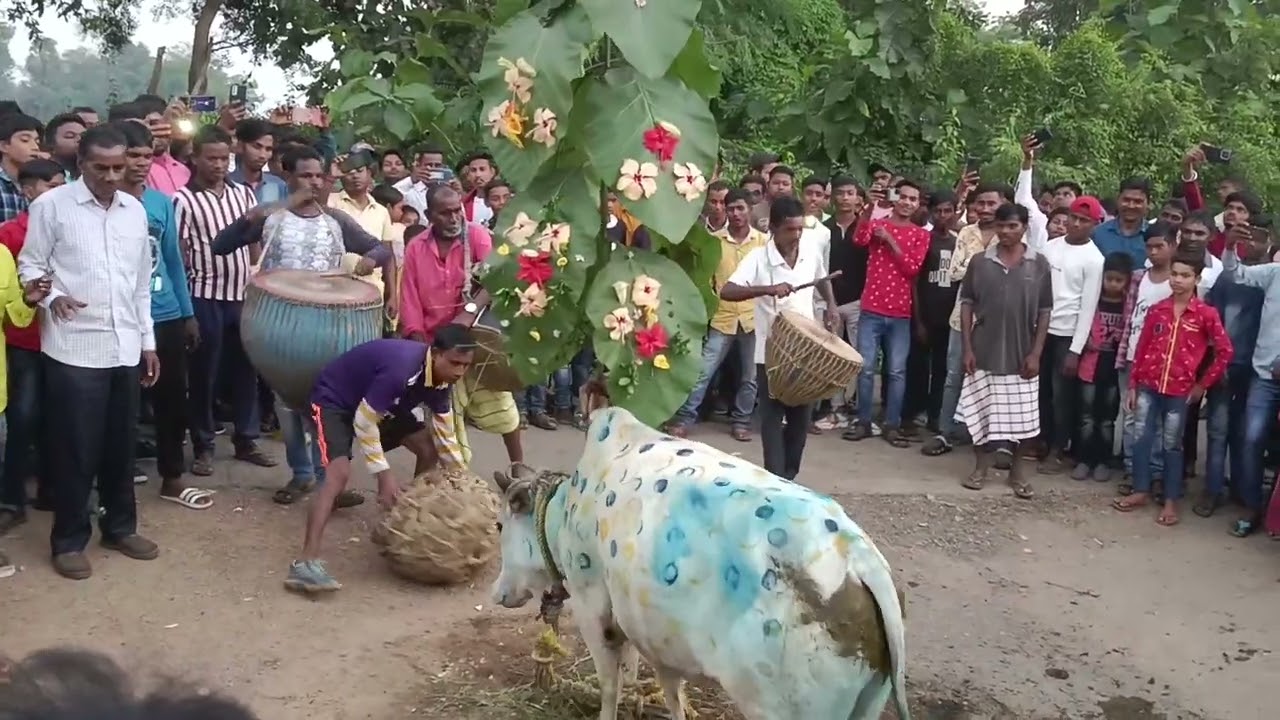 Haditar Dangri Khunta Video 2025