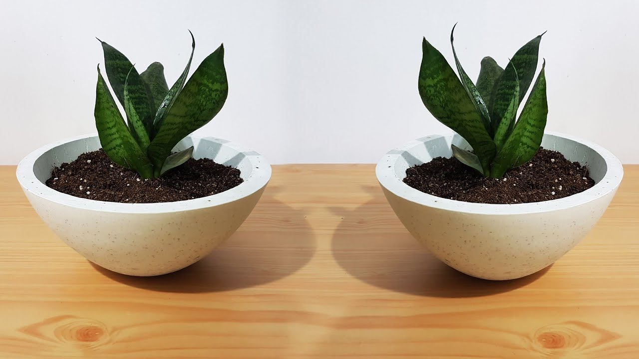 How to Make Cement Pot at Home | Creative White Cement Planter | Indoor Planter |DIY|