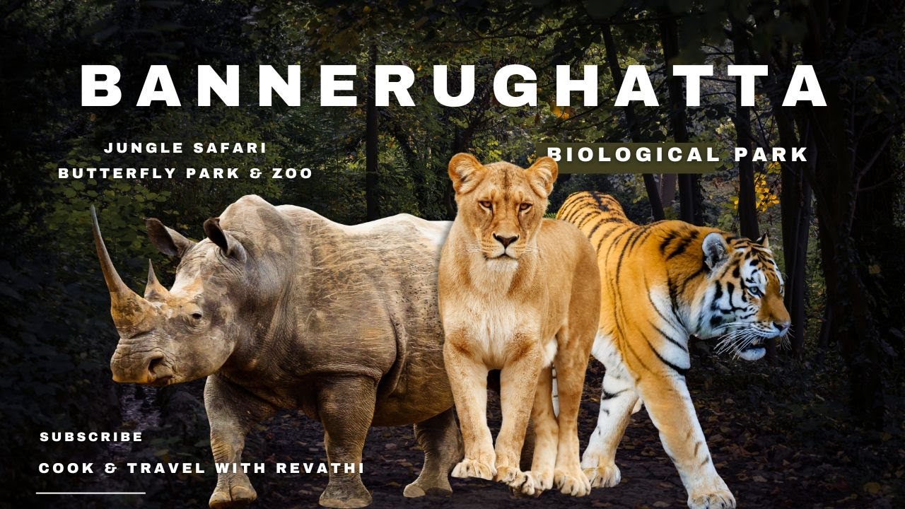 A Trip to Bannerghatta National Park | ബാംഗ്ലൂർ ബന്നേർഘട്ട നാഷണൽ പാർക്കിലേക്ക് ഒരു യാത്ര..
