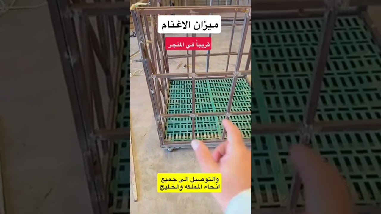 جديد المتجر ميزان الاغنام 