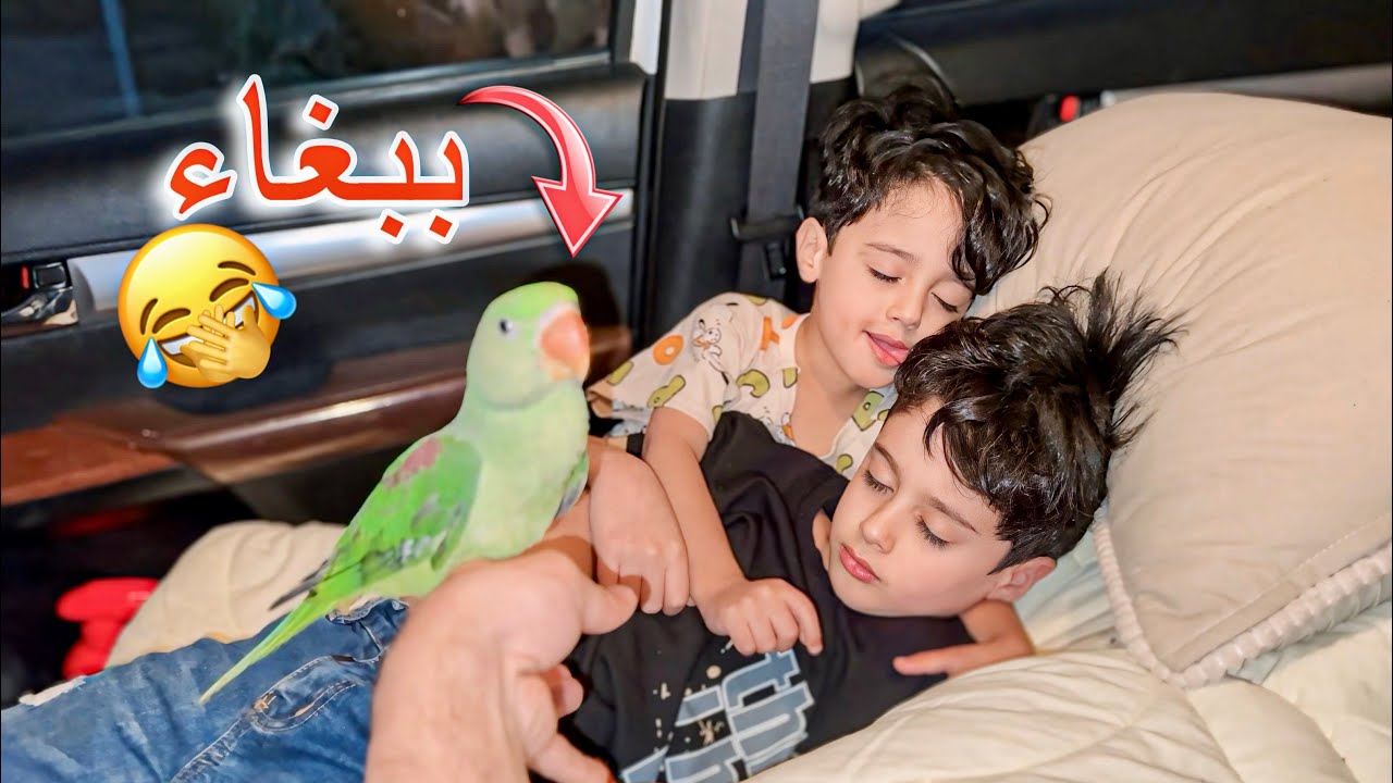 تحدي يوم كامل داخل السيارة مع الببغاء🔥🤣