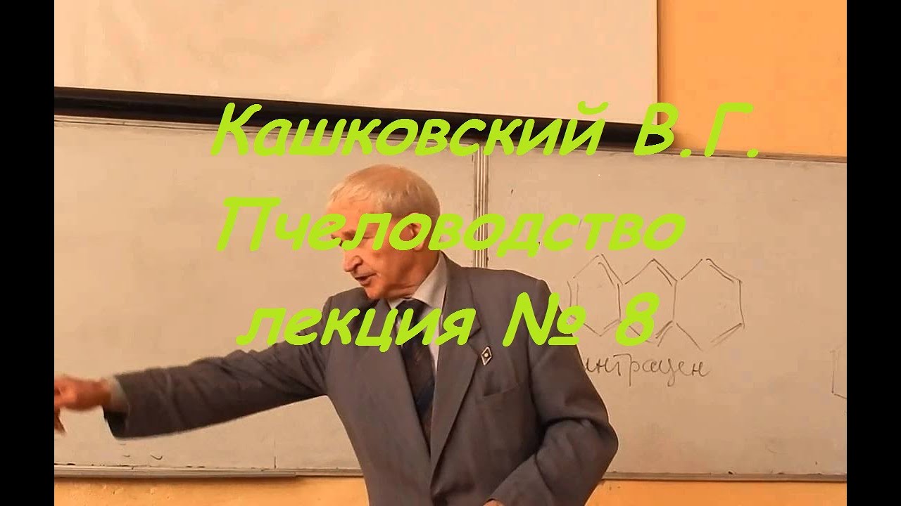 Кашковский В.Г. Пчеловодство лекция №8