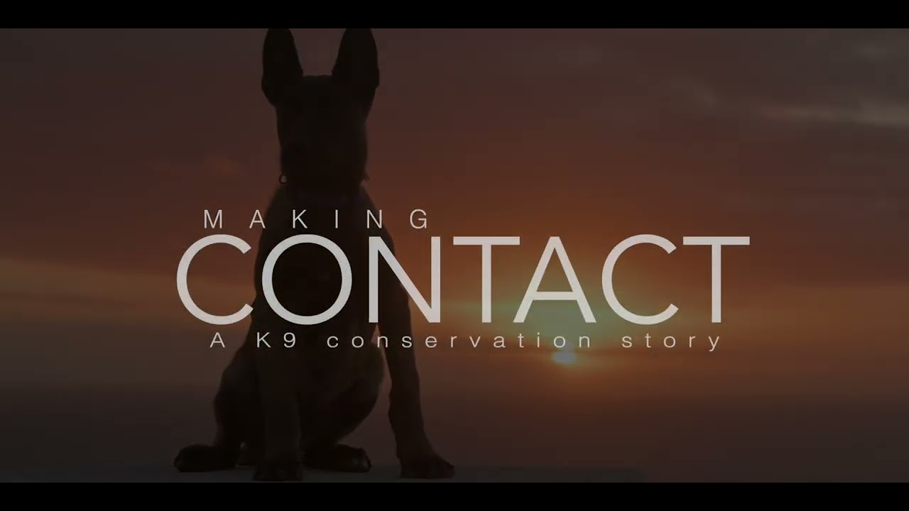 Making CONTACT Official Trailer 2022