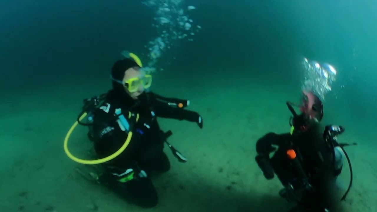 Diving skills refresher