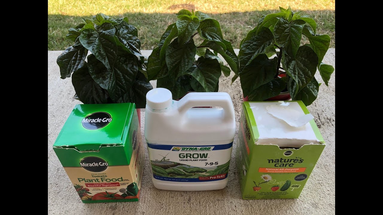 Double Cup Method - Nutrients Experiment