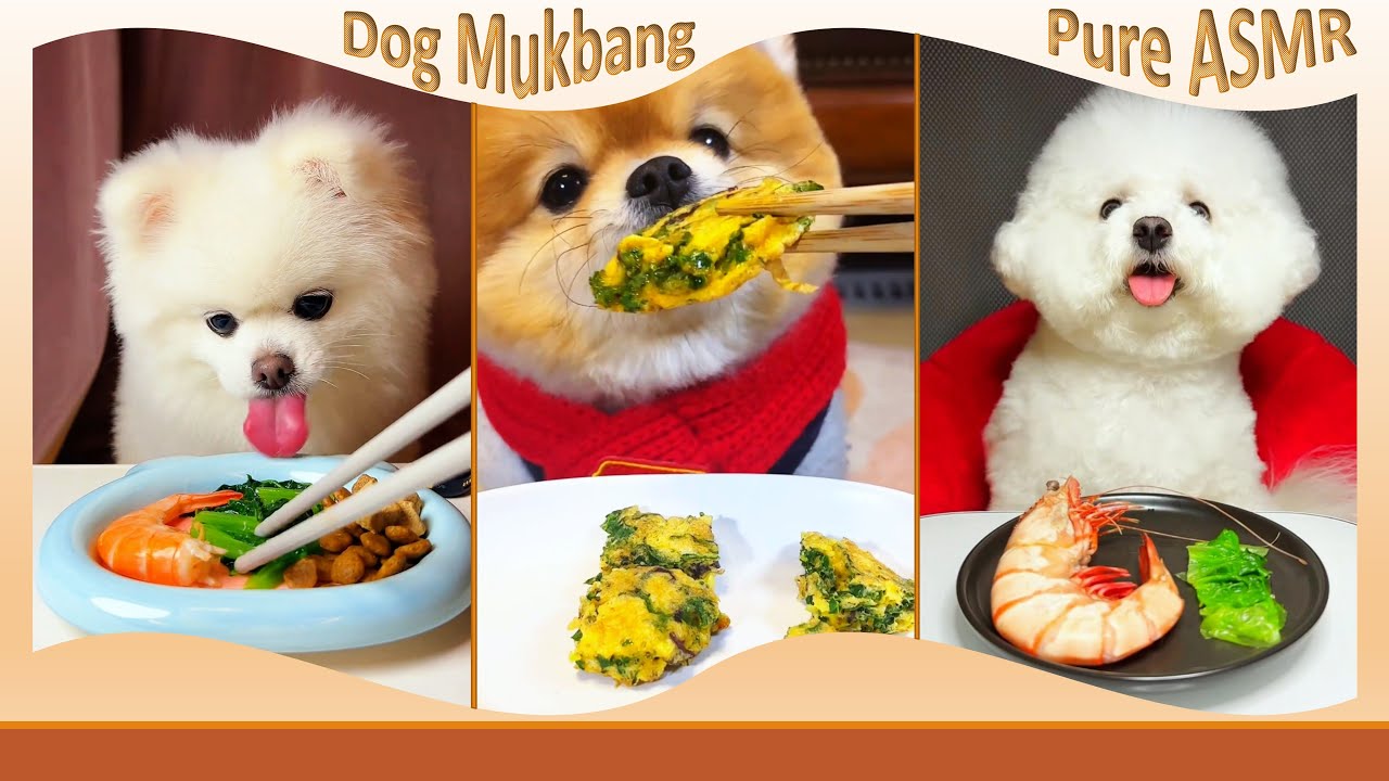 4 Minutes of Pure Calm: Shrimp, Greens & Adorable Dog Reactions 🐶🍤 #DogMukbang #ASMR