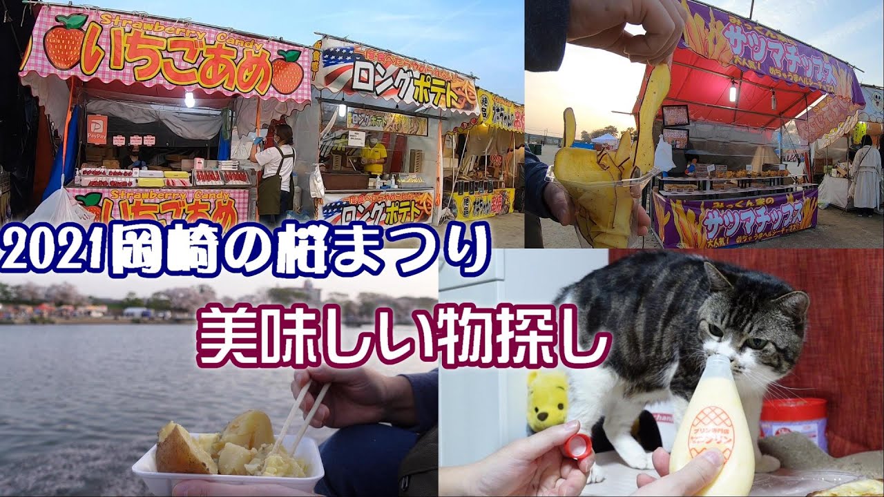 【2020.4 岡崎の桜まつり】お祭り屋台・露店を見物☆たべあるき☆じゃがバター・おさつチップス・ちゅーちゅープリン・GoPro撮影