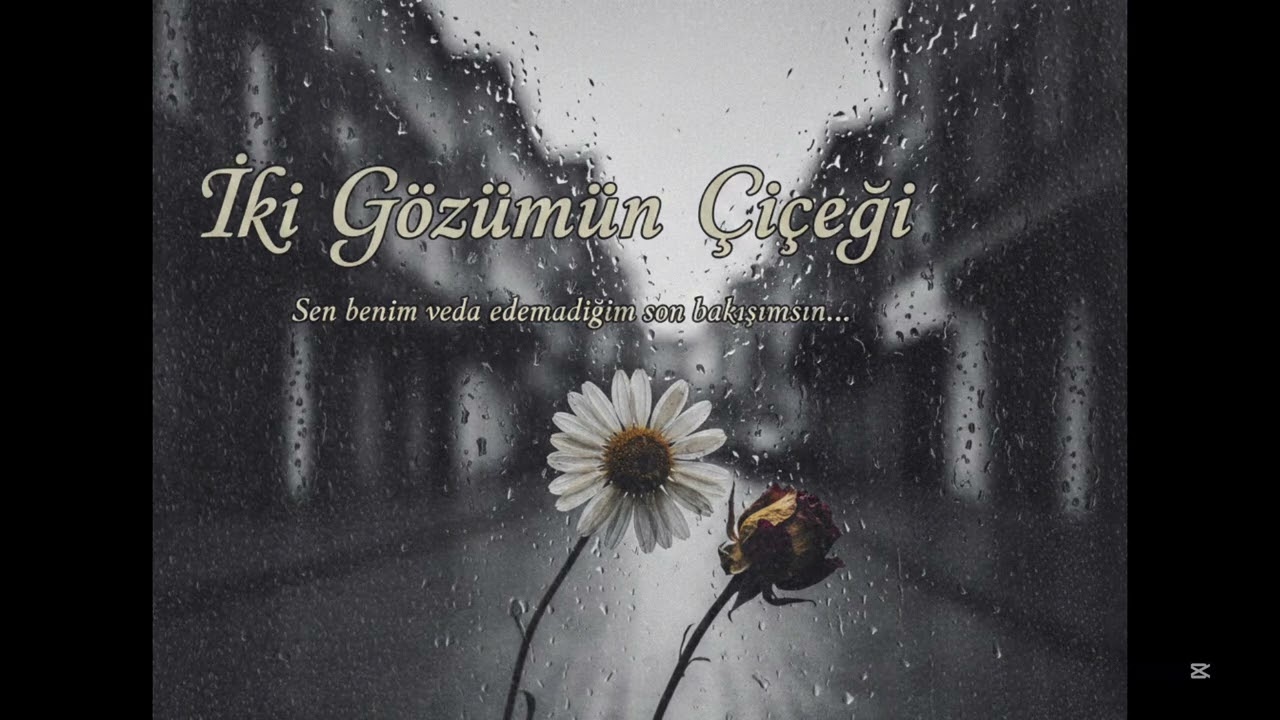 İki gözümün çiçeği 🥀OFFİCAL MUSİC 