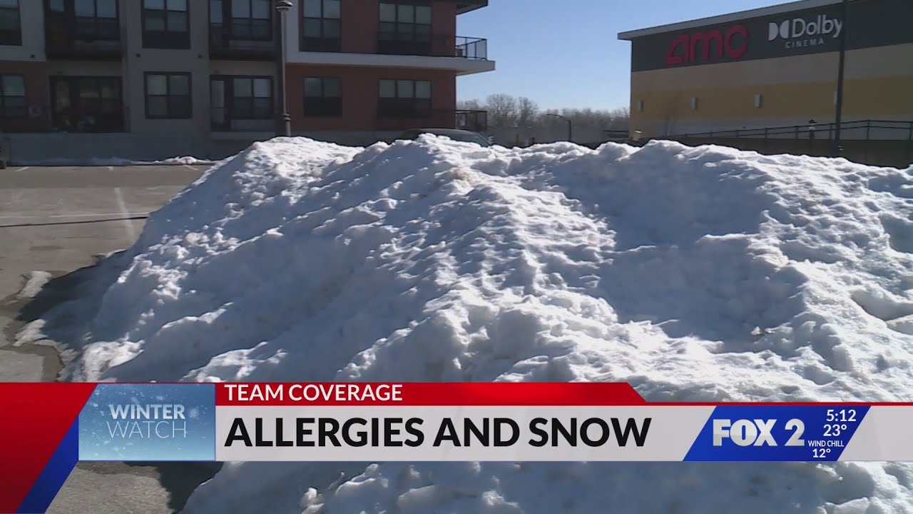 Mold levels in check despite slow snow melt in St. Louis