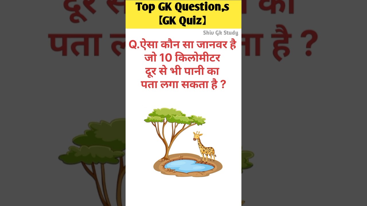 GK questions 