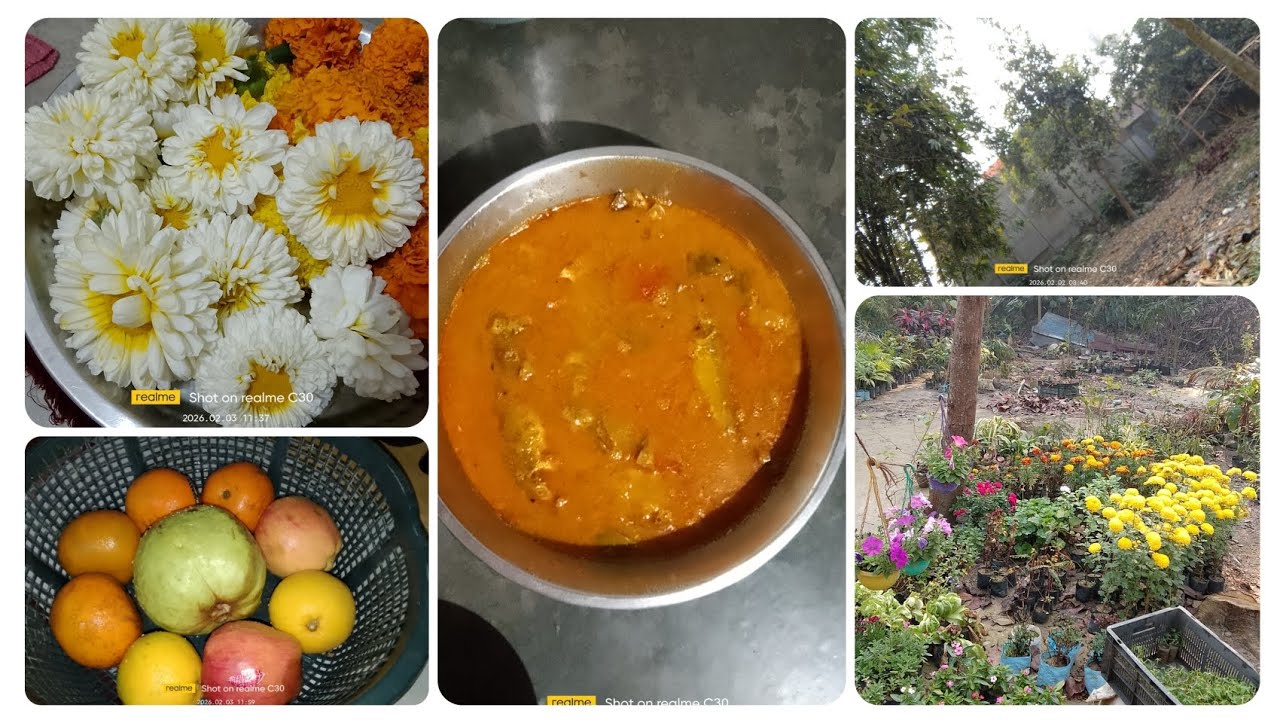 গ্ৰামের পরিবেশে দুদিন খুব আনন্দ করে কাটালাম।🥰😊❤️❤️🎉🌼#villagelife #homevlog #lifestylechannel 