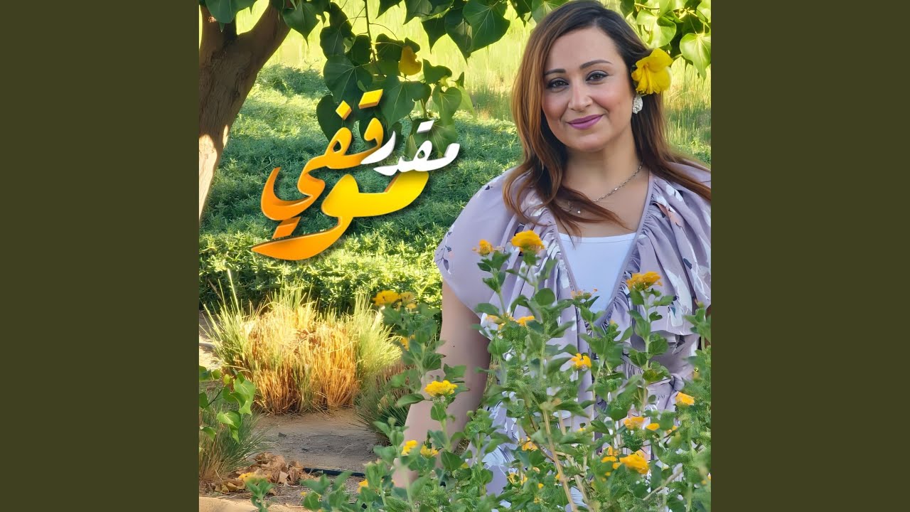 مقدر موقفي